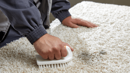 Professional Rug Cleaning Herne Hill
